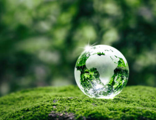 Why sustainable cleaning saves your pocket AND the planet.